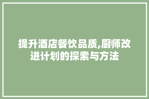 提升酒店餐饮品质,厨师改进计划的探索与方法