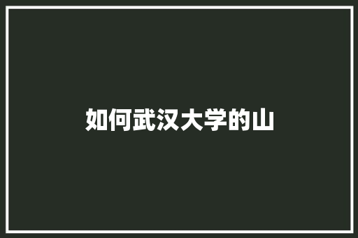 如何武汉大学的山 工作报告