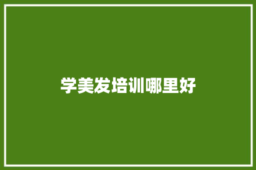 学美发培训哪里好