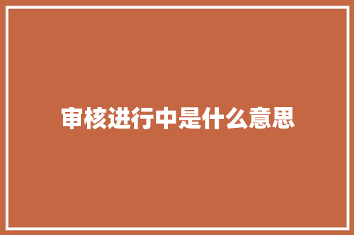 审核进行中是什么意思