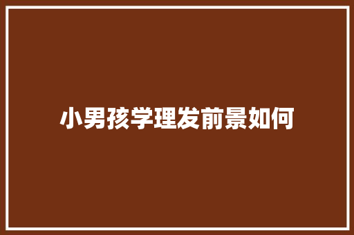 小男孩学理发前景如何