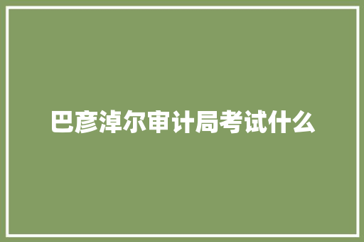 巴彦淖尔审计局考试什么