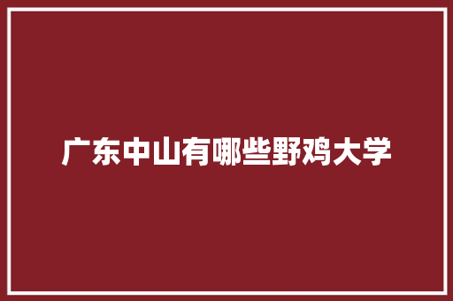 广东中山有哪些野鸡大学