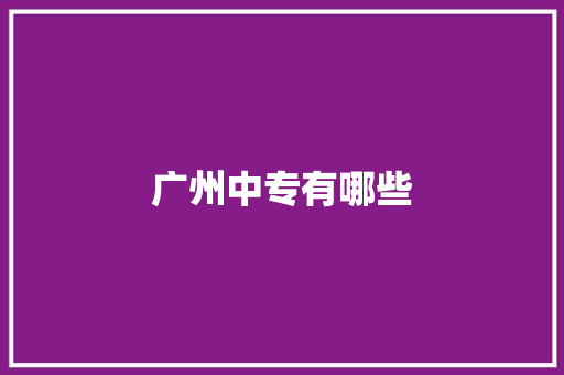 广州中专有哪些 工作总结
