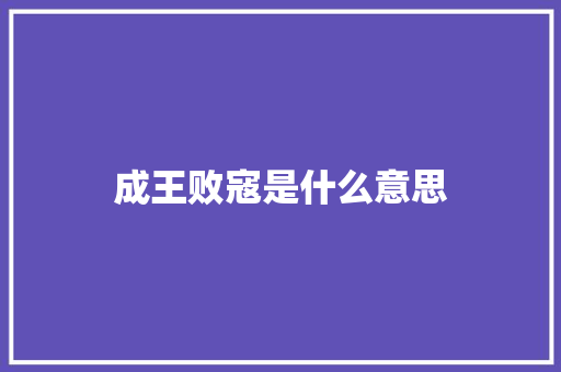 成王败寇是什么意思