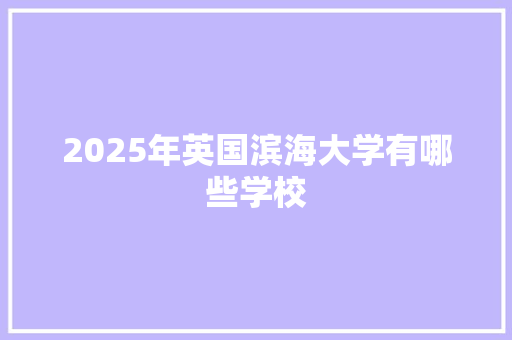 2025年英国滨海大学有哪些学校