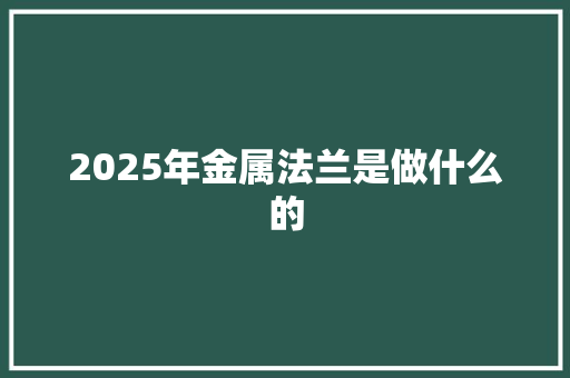 2025年金属法兰是做什么的