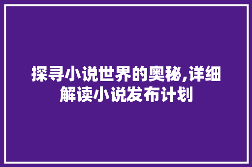 探寻小说世界的奥秘,详细解读小说发布计划