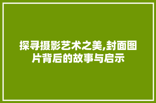 探寻摄影艺术之美,封面图片背后的故事与启示