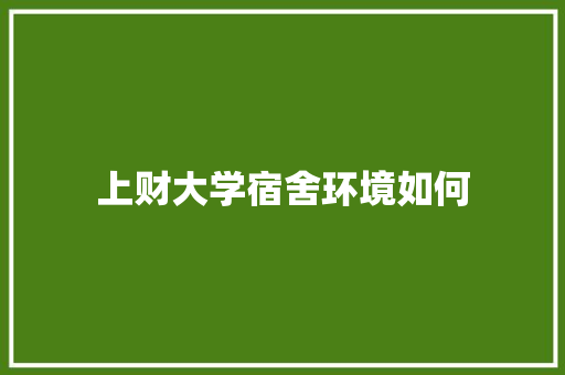 上财大学宿舍环境如何