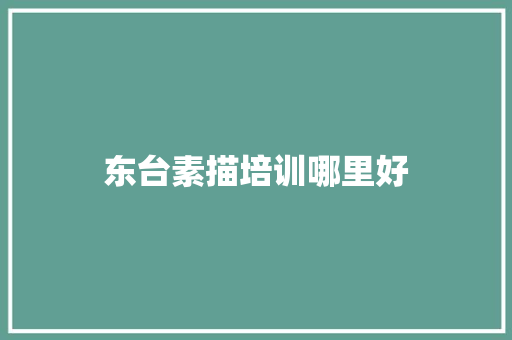 东台素描培训哪里好