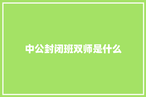 中公封闭班双师是什么
