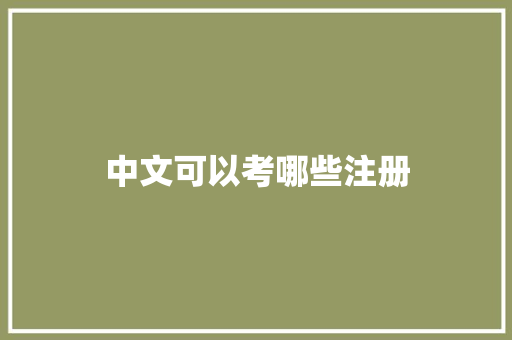 中文可以考哪些注册