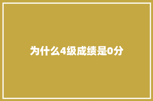 为什么4级成绩是0分