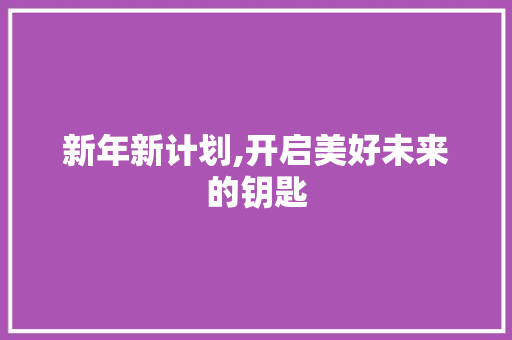 新年新计划,开启美好未来的钥匙