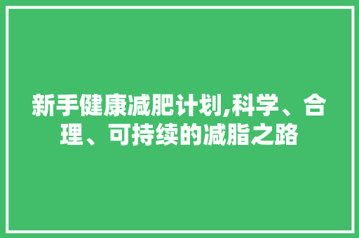 新手健康减肥计划,科学、合理、可持续的减脂之路