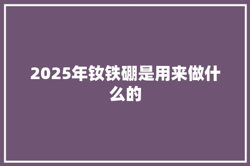 2025年钕铁硼是用来做什么的 生活随笔