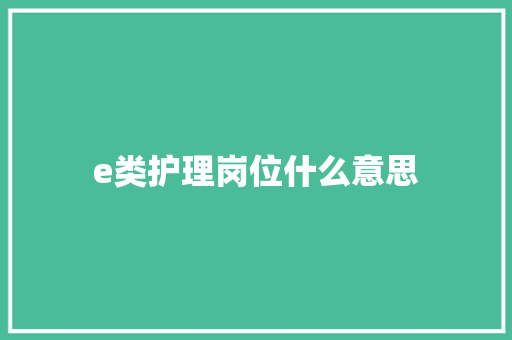 e类护理岗位什么意思