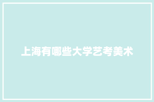 上海有哪些大学艺考美术