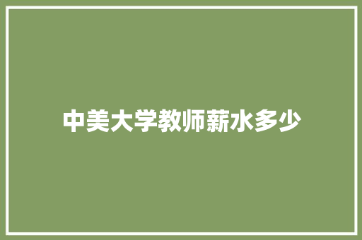 中美大学教师薪水多少