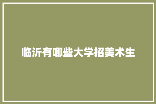 临沂有哪些大学招美术生