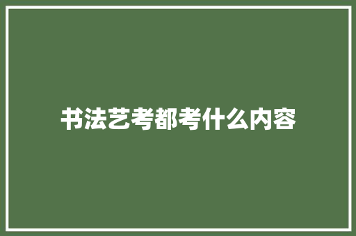 书法艺考都考什么内容