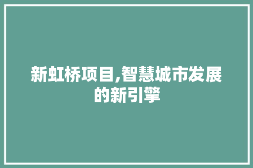 新虹桥项目,智慧城市发展的新引擎
