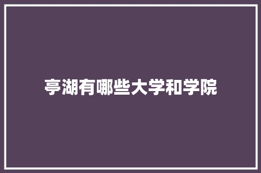 亭湖有哪些大学和学院