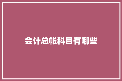会计总帐科目有哪些