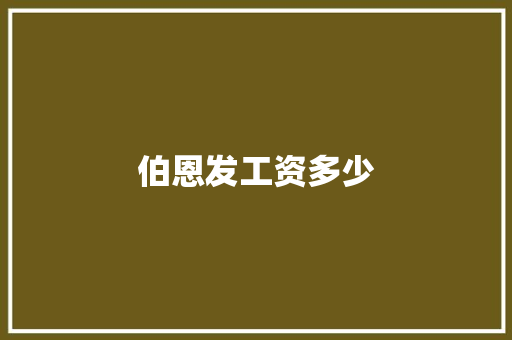 伯恩发工资多少