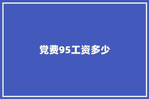 党费95工资多少