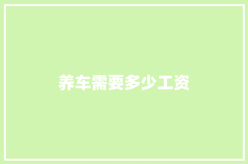 养车需要多少工资 工作总结