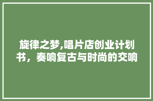 旋律之梦,唱片店创业计划书，奏响复古与时尚的交响曲