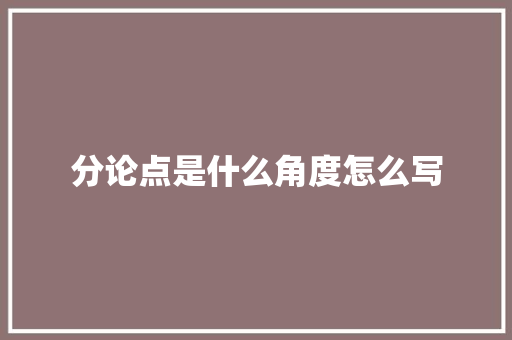 分论点是什么角度怎么写