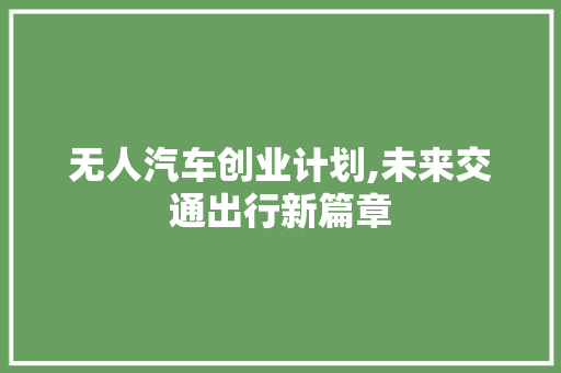 无人汽车创业计划,未来交通出行新篇章