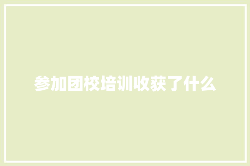参加团校培训收获了什么