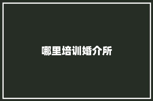 哪里培训婚介所