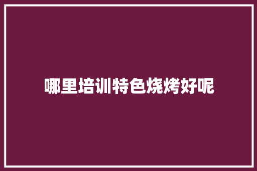哪里培训特色烧烤好呢