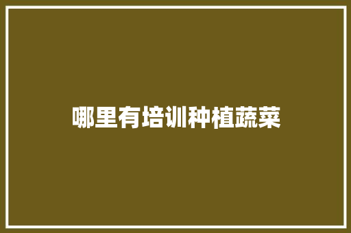 哪里有培训种植蔬菜