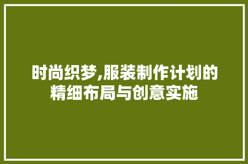 时尚织梦,服装制作计划的精细布局与创意实施