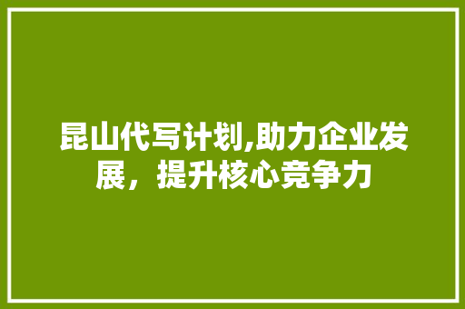昆山代写计划,助力企业发展，提升核心竞争力