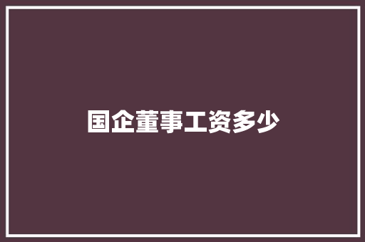 国企董事工资多少