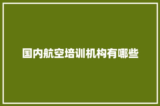 国内航空培训机构有哪些