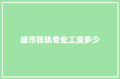 城市铁轨专业工资多少