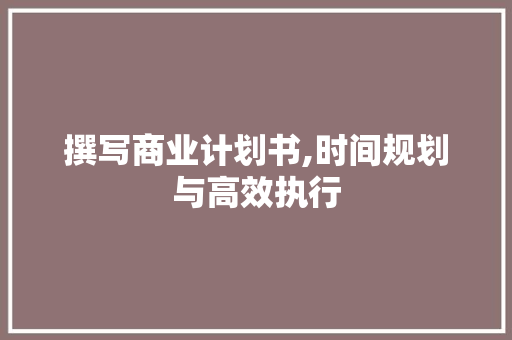 撰写商业计划书,时间规划与高效执行