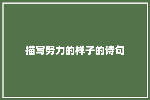 描写努力的样子的诗句