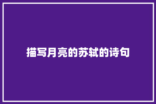 描写月亮的苏轼的诗句