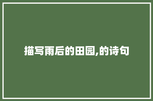 描写雨后的田园,的诗句