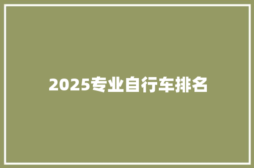 2025专业自行车排名