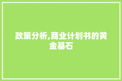 政策分析,商业计划书的黄金基石